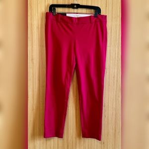 NWT J. Crew “Winnie Pant” City Fit